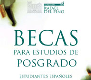 Becas-posgrado